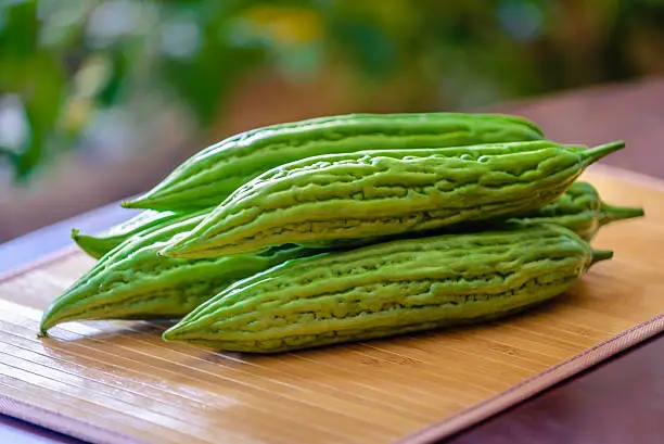 An image of a fresh Bittermelon/Ampalaya newly harvested from the garden.