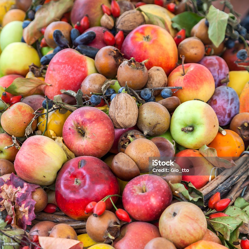 Autumn fruits Autumn Stock Photo