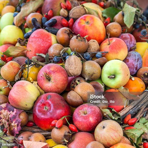 Autumn Fruits Stock Photo - Download Image Now - Autumn, Hazelnut, Apple - Fruit