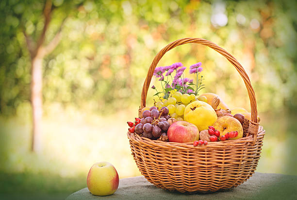 istock Autumnal fruits in wicker basket 519770247