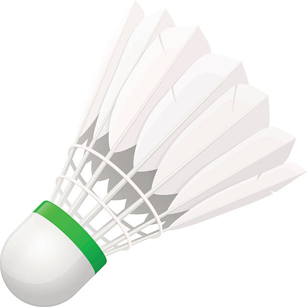 ilustraciones, imágenes clip art, dibujos animados e iconos de stock de volante de bádminton de pájaro plumas de ganso - shuttlecock