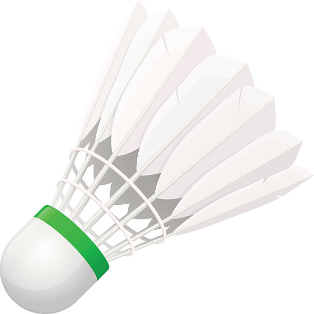 Shuttlecock for badminton from bird feathers Vector illustration. Shuttlecock for badminton from bird feathers isolated on white background badminton stock illustrations