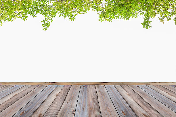 istock Wood floor and Fresh Green leaf isolated background,For product 519781312