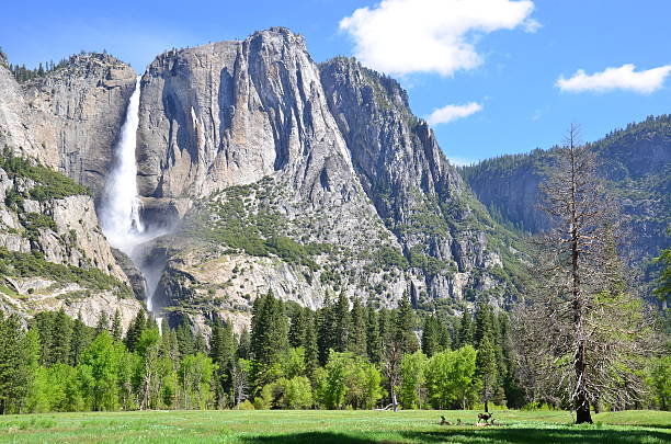 istock Yosemite Falls in Yosemite Valley, National Park 519785106