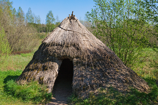 Grass hut in spring landscape