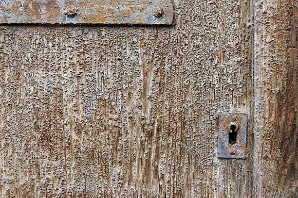старый weatered дверь с каплевидным вырезом - weatered стоковые фото и изображения