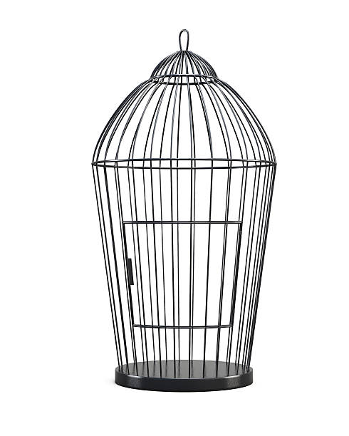 istock Metal bird cage isolated on white background. Front view. 519790102