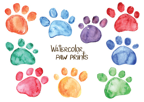 Set of isolated hand drawn watercolor animal footprints