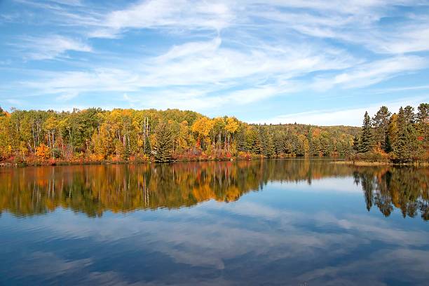 Mùa Thu Ở Công Viên Algonquin Ontario Canada Hình ảnh Sẵn có - Tải xuống Hình ảnh Ngay bây giờ - Bảo tồn thiên nhiên, Canada - Bắc Mỹ, Các vấn đề