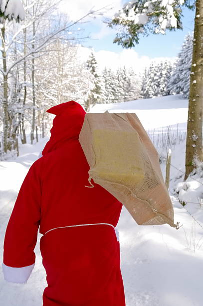 istock Santa Claus walking along a path 519804899