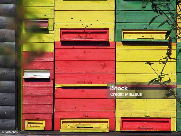 Apiary Stock Photo - Download Image Now - Activity, Agriculture, Animal
