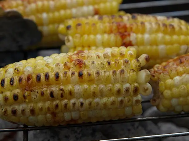 Several ears of corn on the cobb on the grill
