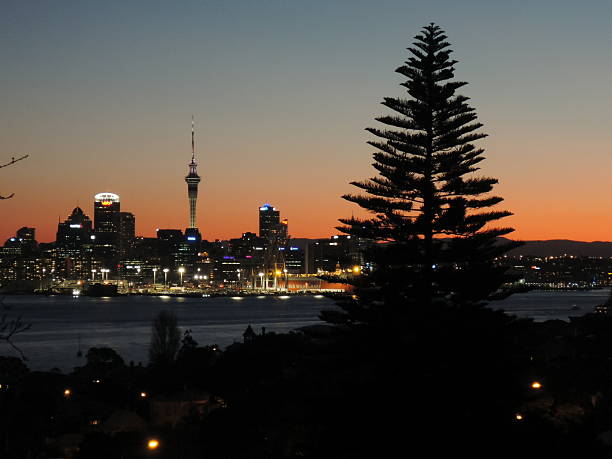 istock Sky Tower Auckland at night 519808357