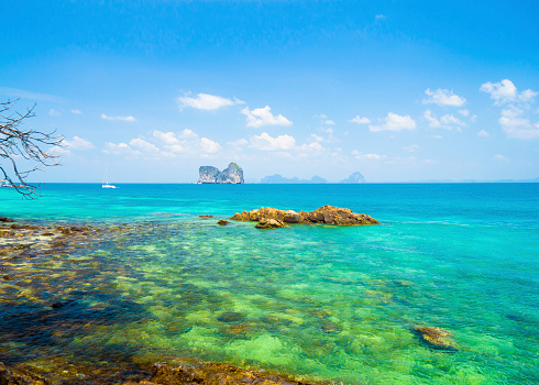 A tropical beach with clear water and rocks. The water is a beautiful turquoise color and is very clear. The rocks are a mix of different sizes and shapes and are scattered along the shore and in the water. The sand is a light beige color and is visible in the foreground. The background consists of trees and other vegetation. The mood of the image is peaceful and serene.