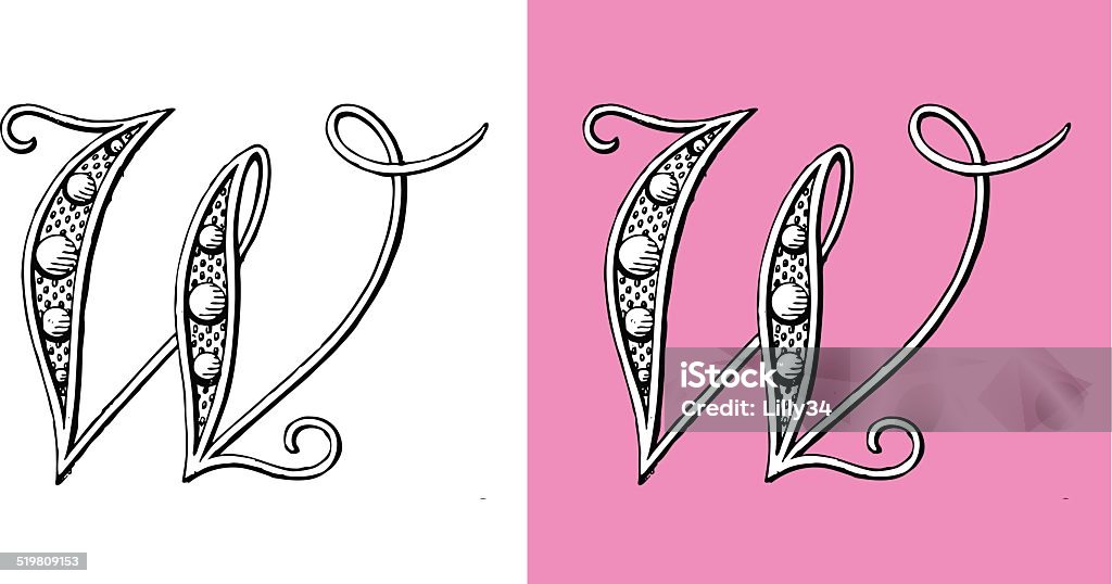 Lettre W, Typo, Alphabet, Enluminure, Ornement, Manuscrite, monogramme, Rétro, Bijoux - clipart vectoriel de Lettre W libre de droits