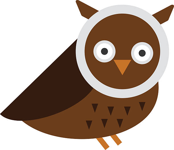 Owl Eyes Illustrations, Royalty-Free Vector Graphics & Clip Art - iStock