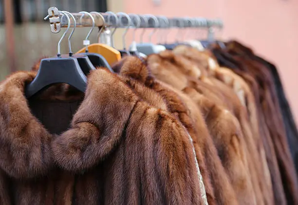 Photo of fur coat very sofly in vintage style