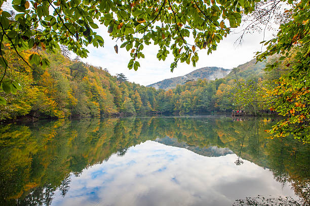 istock yedigoller Park, bolu 519824548
