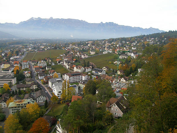 istock Aerial view of Vaduz 519825335