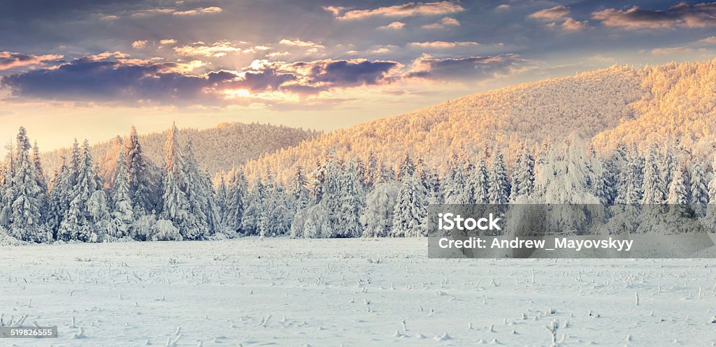 Panorama del atardecer de invierno en las montañas. - Foto de stock de Abeto libre de derechos