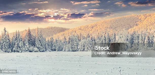 Panorama Del Atardecer De Invierno En Las Montañas Foto de stock y más banco de imágenes de Abeto