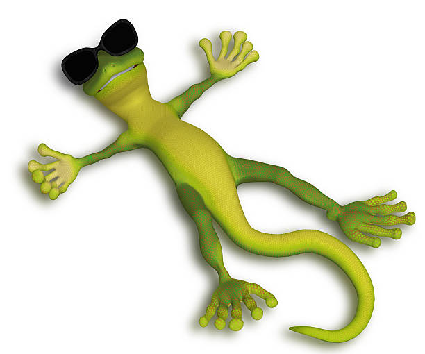 istock Gecko relaxing in the sun 519826805