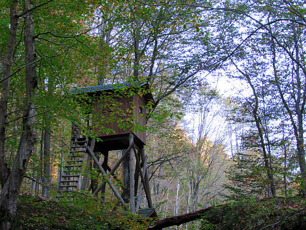 de caça lookout - forest hut window autumn imagens e fotografias de stock