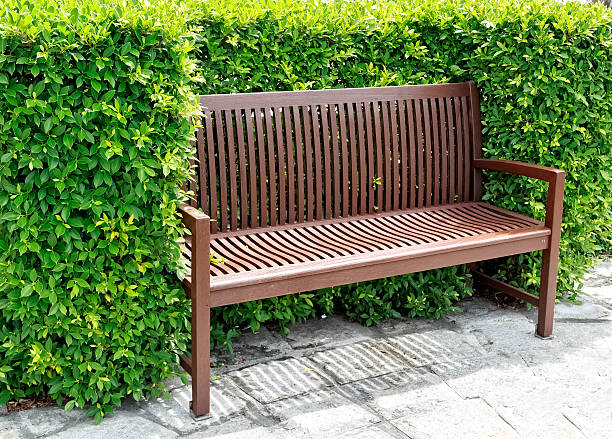 Curved wooden bench in a city park