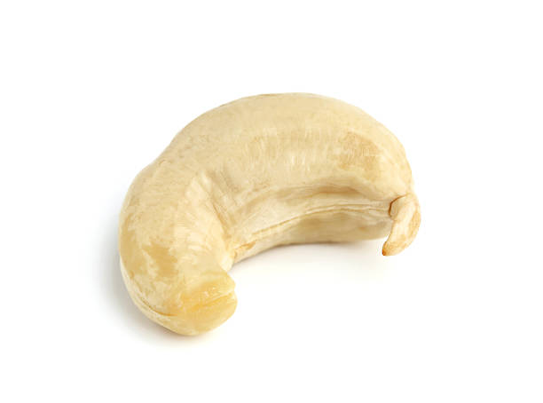 istock Isolated nut of cashew. 519827745