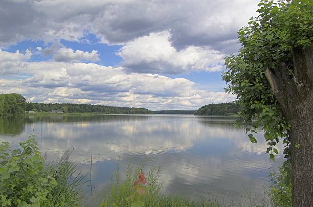 istock Summer landscape of beautiful Lake 519827849