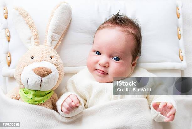 Baby With Toy Bunny Stock Photo - Download Image Now - Baby - Human Age, Baby Girls, Beautiful People