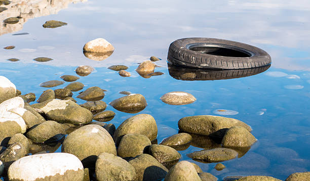 istock Tire in lake 519828826
