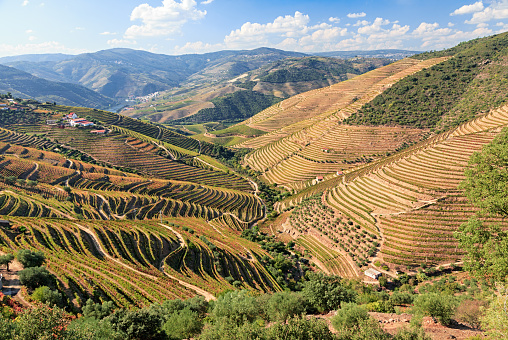 Douro Valley, Portugal