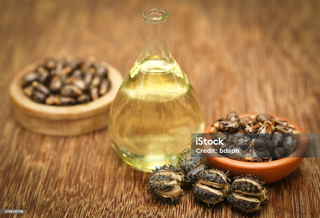 Castor beans and oil Castor beans and oil in a glass jar Castor Oil Stock Photo