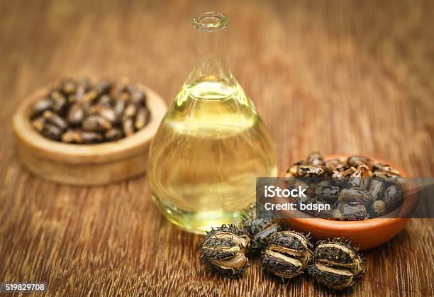 Castor Beans And Oil Stock Photo - Download Image Now - Castor Oil, Castor Bean Plant, Cooking Oil