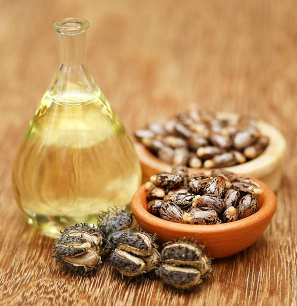 Castor beans and oil Castor beans and oil in a glass jar castor oil stock pictures, royalty-free photos & images