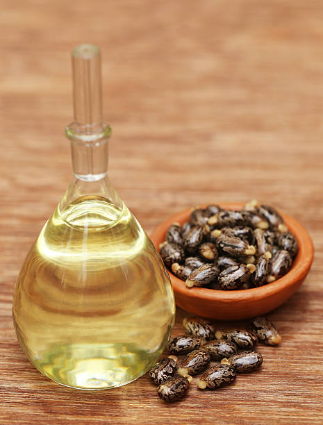 Castor beans and oil Castor beans and oil in a glass jar castor oil stock pictures, royalty-free photos & images