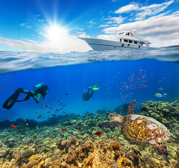istock Underwater coral reef with scuba divers 519830604
