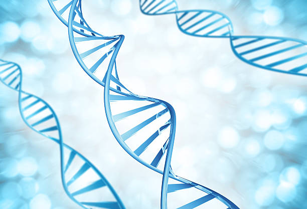 istock Genetic strands of DNA molecules magnified 519830967