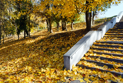 Fall color foliage hits Western Pennsylvania.