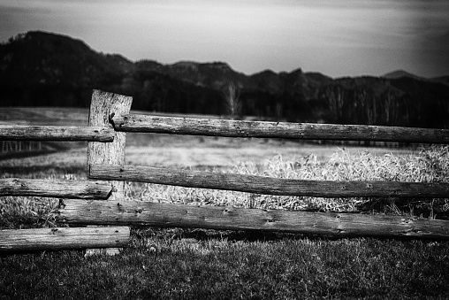 Stakes and wire fence in a rural area, snow cold weather in winter time. Lugo province, Galicia, Spain.