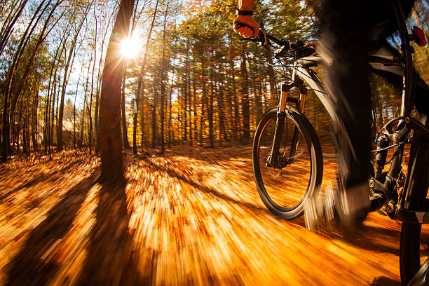 istock Mountain biking along a trail in the bright sun. 519835892