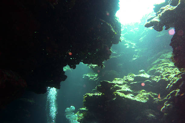 istock Diving in Georgetown, Cayman Islands 519837478