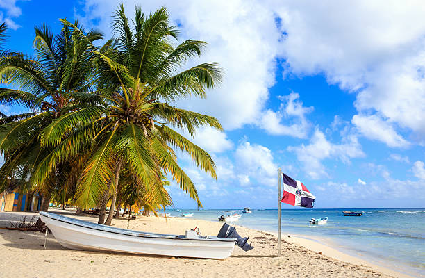 istock Caribbean beach in Dominican Republic 519837682