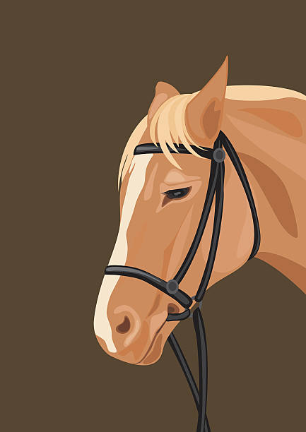 馬のヘッドには、濃い色の背景 ベクターアートイラスト