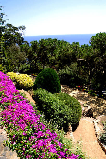 istock Jardines de Cap Roig,Calella de Palafrugell, Gerona 519844781