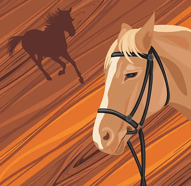 Vector illustration of Horse head on the wooden background