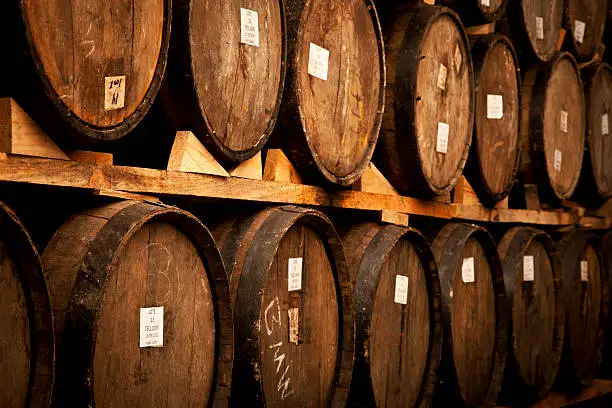 Wine barrels stacked in the old cellar of the winery.