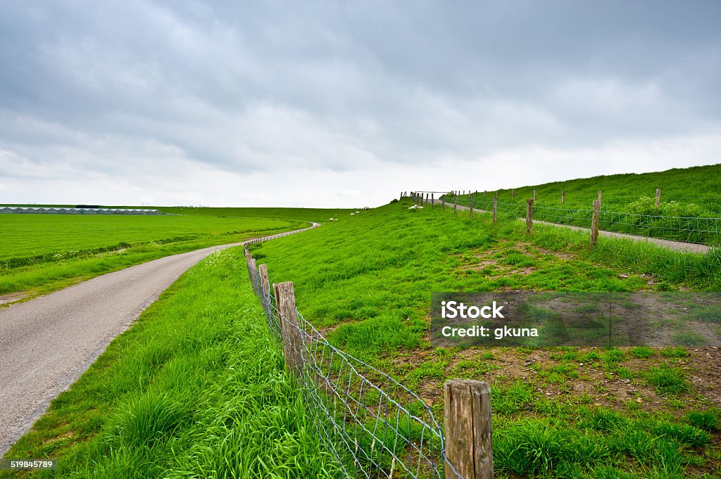Fence Asphalt Road along Protective Dam in the Netherlands Agricultural Field Stock Photo