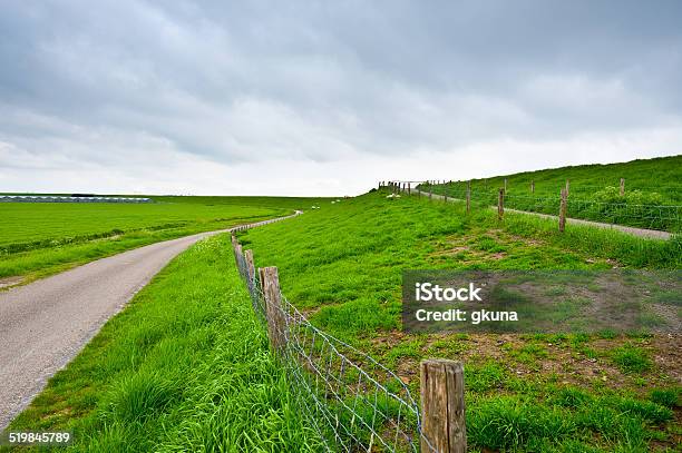 Fence Stock Photo - Download Image Now - Agricultural Field, Agriculture, Asphalt